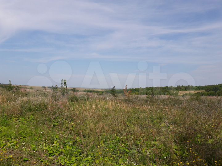 Участок 23,6 га (СНТ, ДНП)