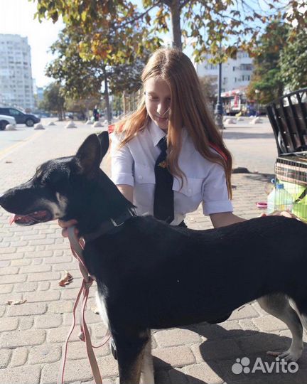 Агата ищет дом