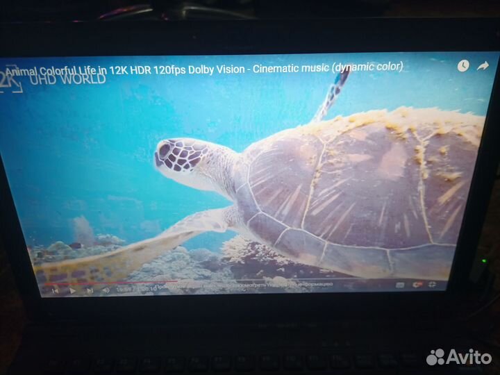 Ноутбук sony vaio