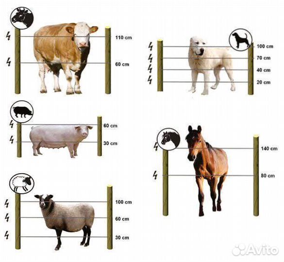 Электропастух с завода для мясных крс