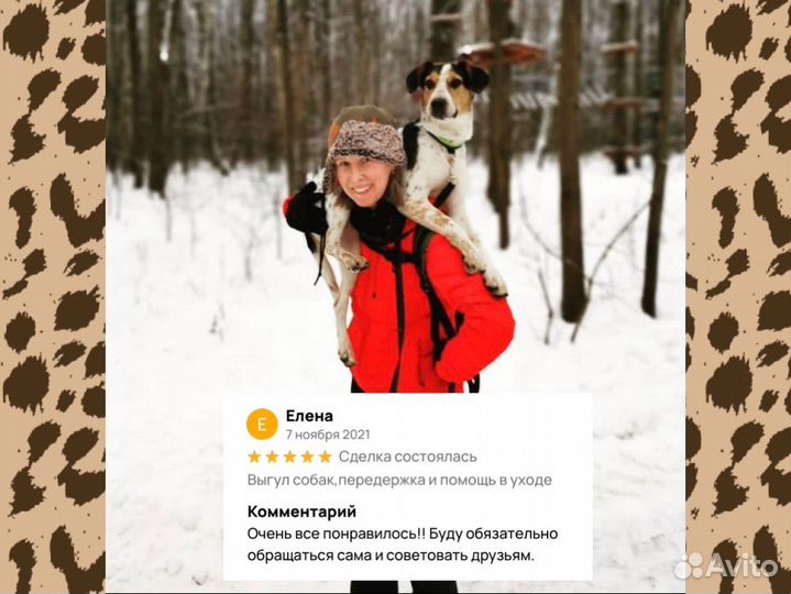 Выгул собак