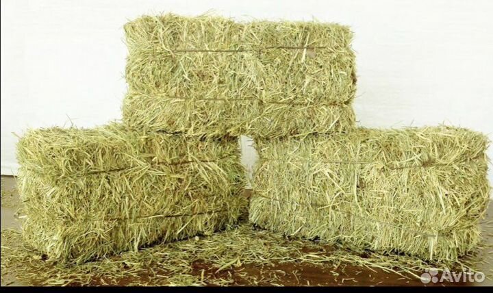 Сено в тюках