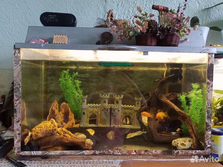 Аквариум из оргстекла б/у