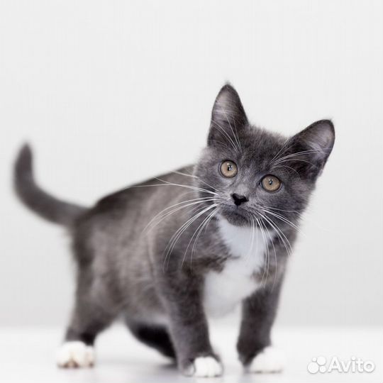 Сухомяткин