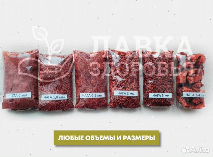 Чага сушеная опт. Любые объемы и виды