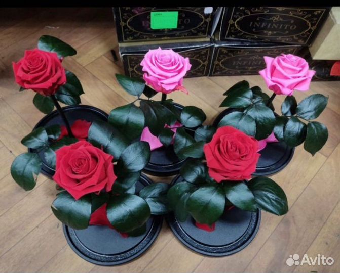 Роза в колбе