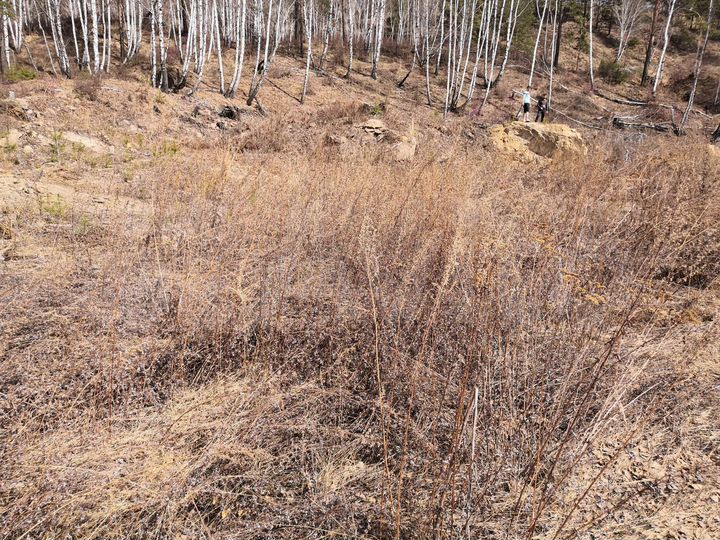 Участок 8 сот. (СНТ, ДНП)