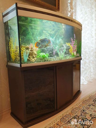Аквариум 200л
