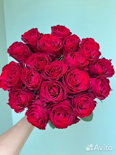 Ароматные розы 50см,Доставка Калининград