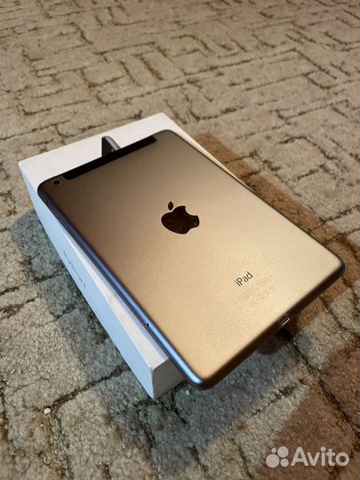 iPad mini 2