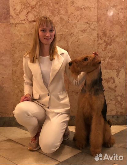 Рекрутер удаленно