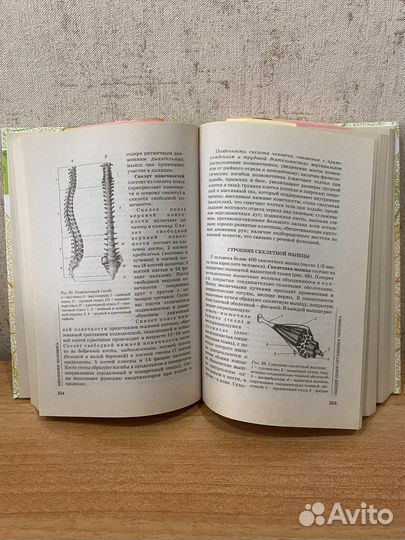 Справочник по биологии