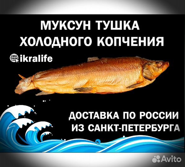 Рыба Муксун тушка хол/коп. сдэк по РФ
