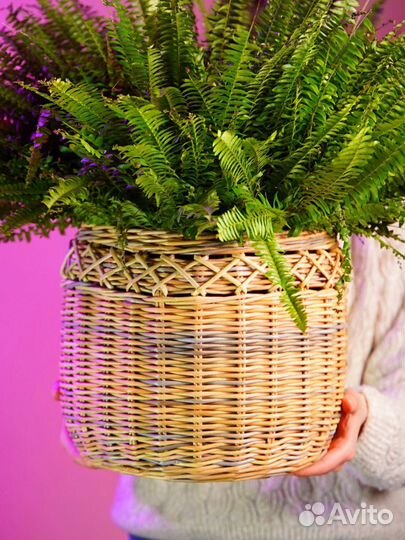 Кашпо горшок для цветов