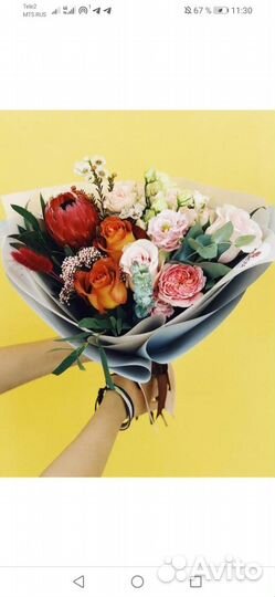 Комнатные растения цветы с доставкой