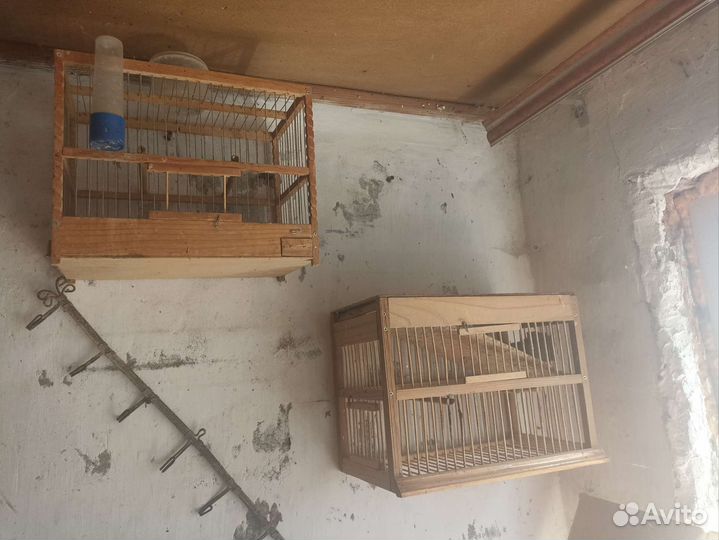 Клетки для птиц