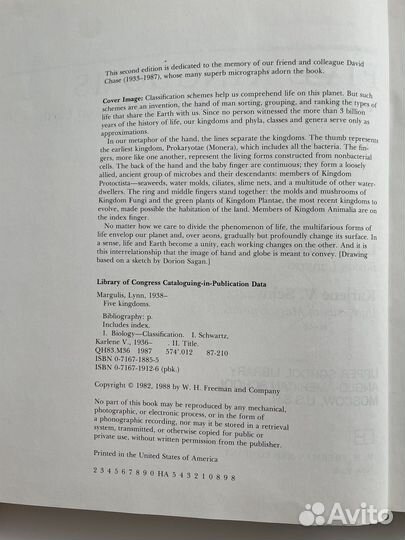 Книга Five Kingdoms