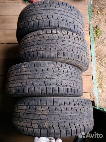 Dunlop Graspic DS2 205/55 R16