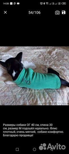 Одежда для маленьких собак