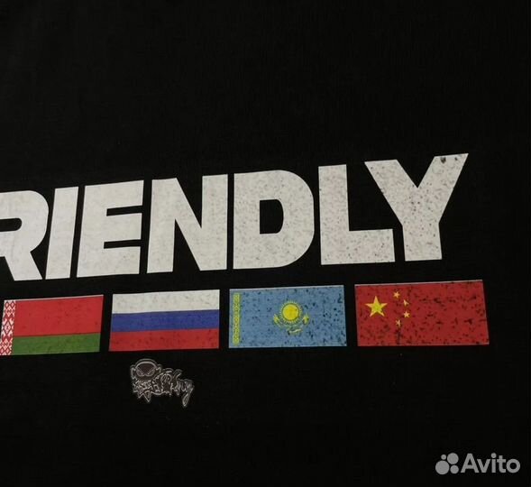 Худи friendly tommy Sinny