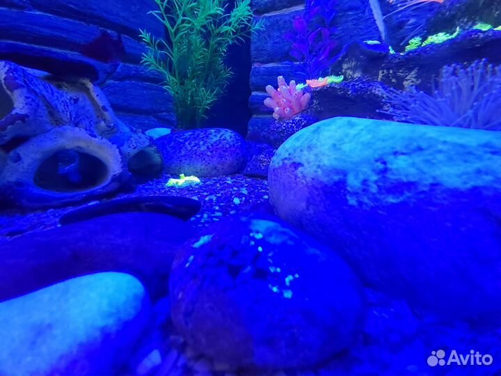 Грунт камни для аквариума