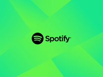 Spotify Premium (Индивидуальная Подписка) 1/3/6/12