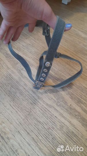 Шлейка для средней собаки