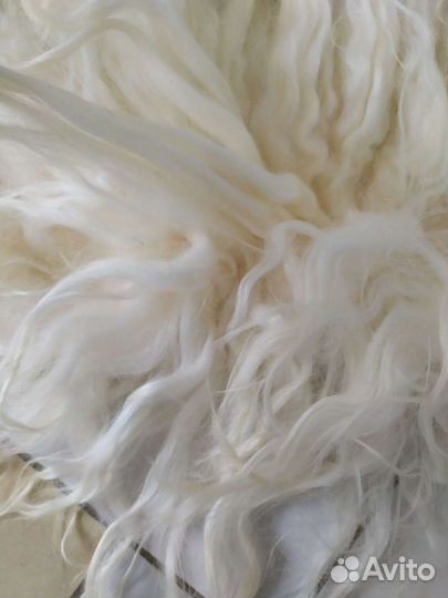 Шкура горного козла