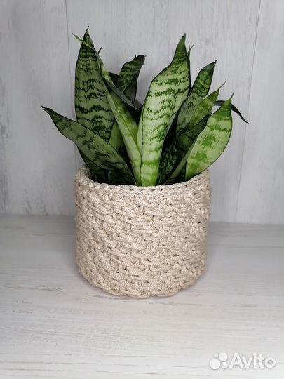 Круглое кашпо из полиэфирного шнура