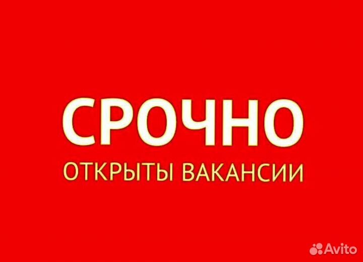 Упаковщик куриных полуфабрикатов на производство