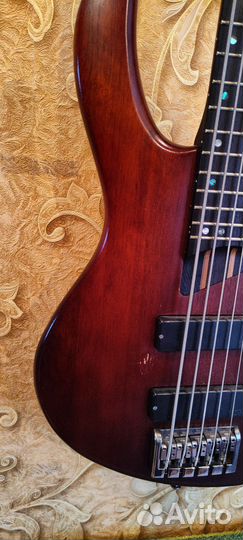 Бас гитара 5 струн Cort B5 Plus MH