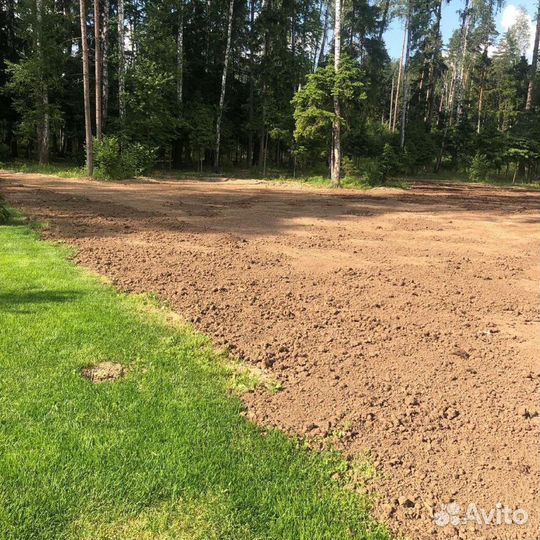 Сад благоустройство