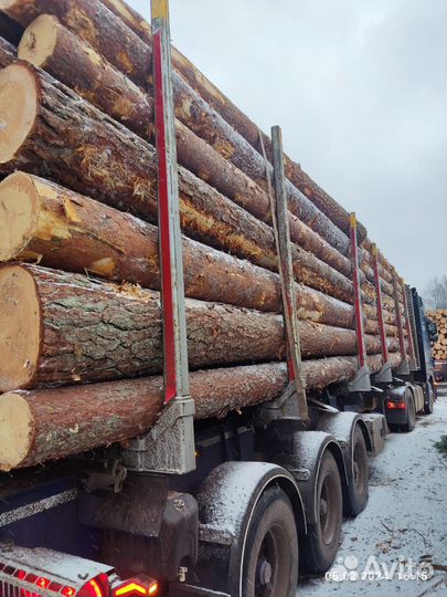 Пиловочник Деловой Кругляк