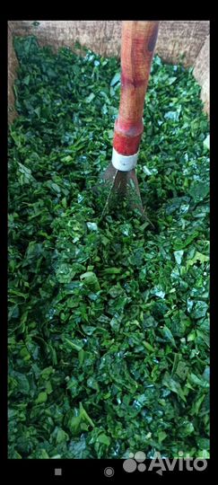 Щи серые Капуста