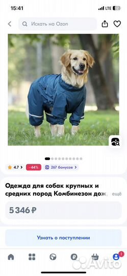 Комбинезон для собаки крупной породы