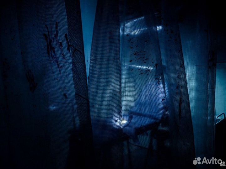 Ищем инвестора для создания перфоманса