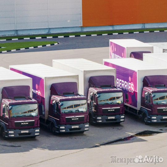 Водитель экспедитор со своим грузовым авто