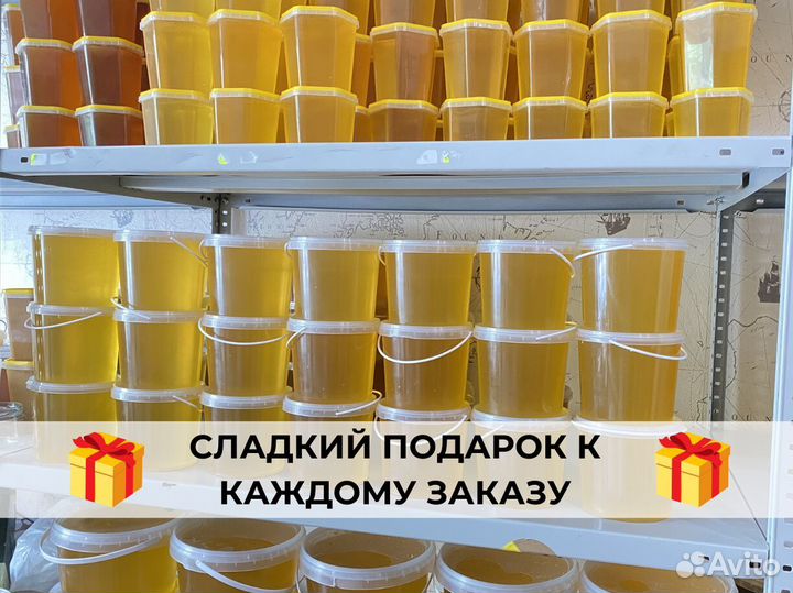 Мед липовый башкирский 2023
