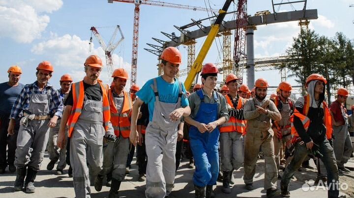 Гипсокартонщики, плиточники, маляры, ежедневно