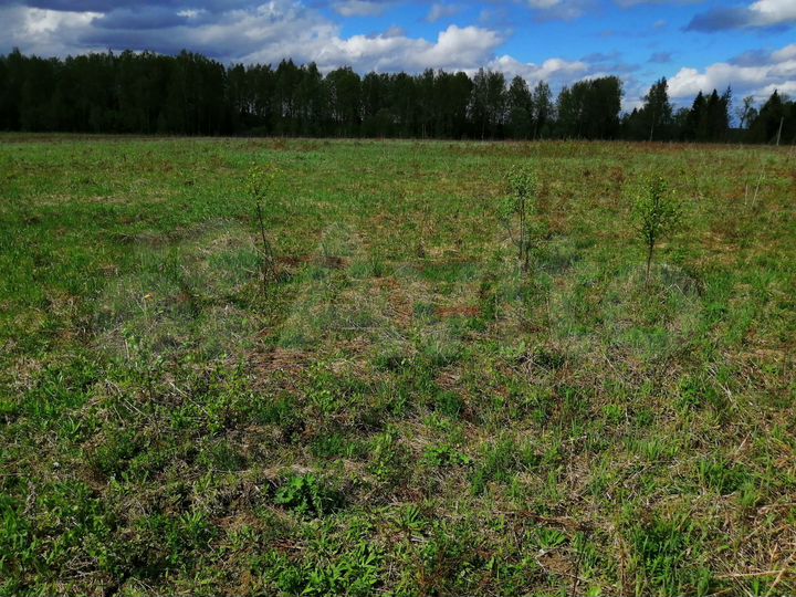 Участок 5,4 га (СНТ, ДНП)