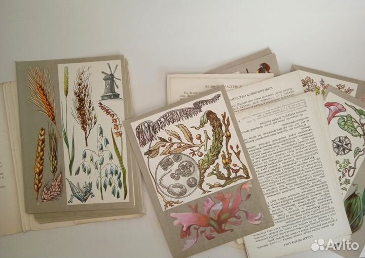 Советские открытки