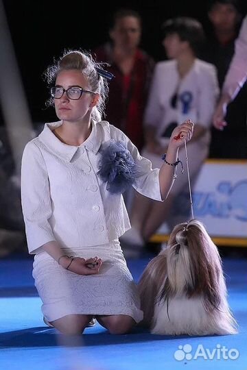 Услуги хендлера