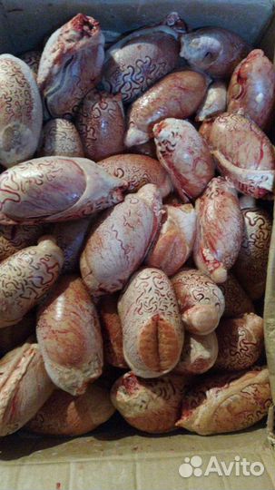 Мясо для животных (собак и кошек)