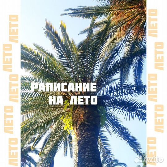 Рассписание туров на лето