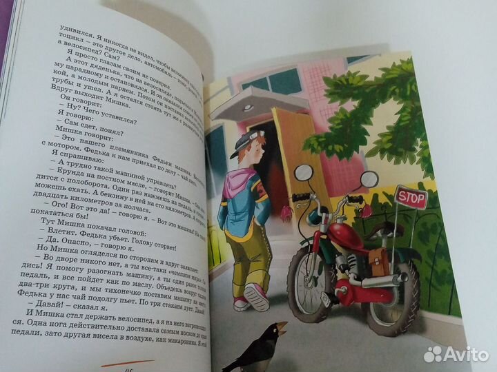 Денискины рассказы. Книга