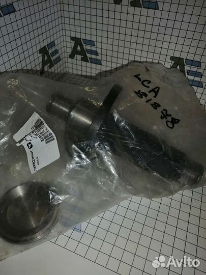 LCA81878