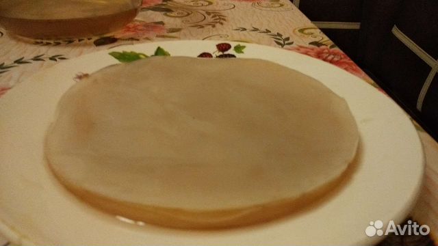 Комбуча (чайный гриб)