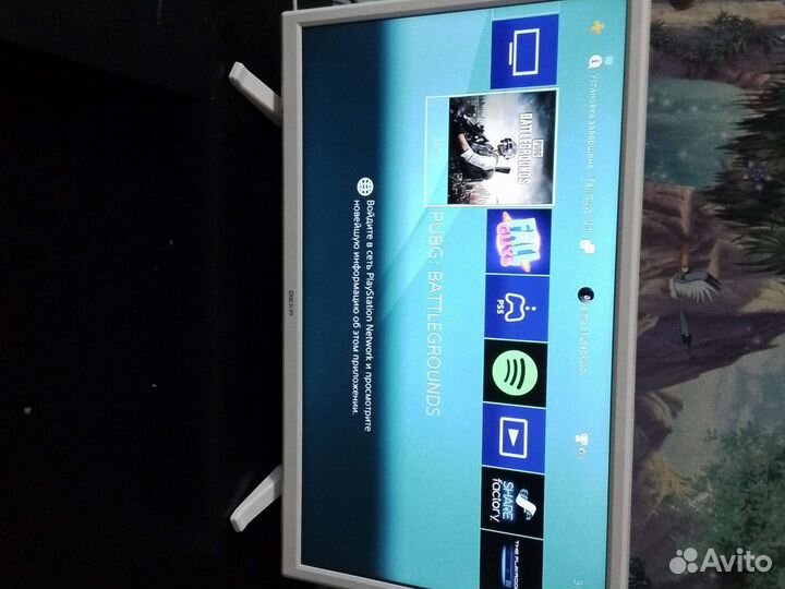 Sony playstation 4