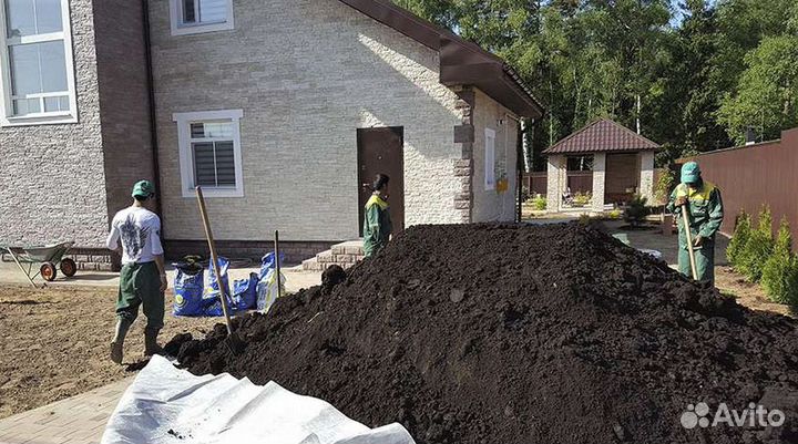 Чернозем,Грунт