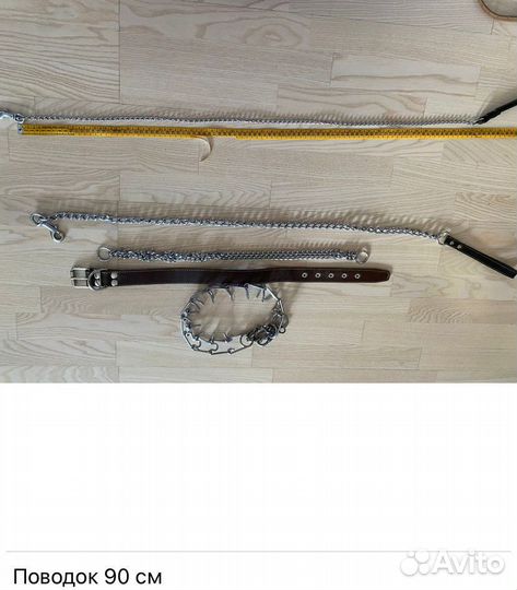 Амуниция для собак